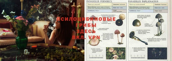 не бодяженный Белоозёрский
