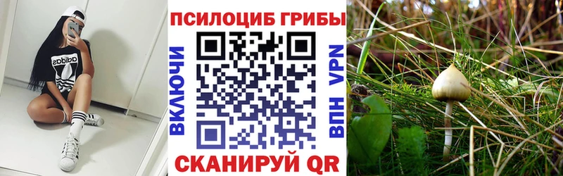 Галлюциногенные грибы мицелий  Гороховец 