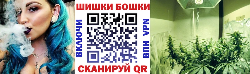 Марихуана план  Гороховец 